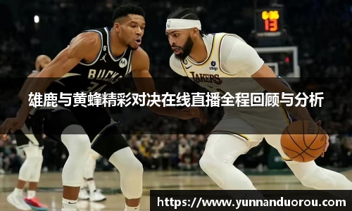 米兰雄鹿与黄蜂精彩对决在线直播全程回顾与分析